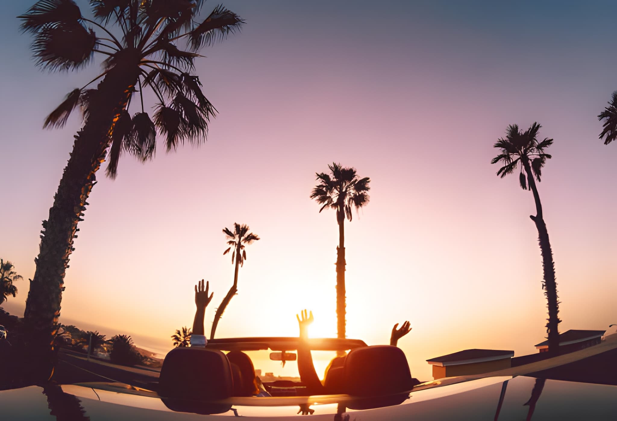 Miami After Dark: Where Heat, Freedom, and the Lifestyle Collide