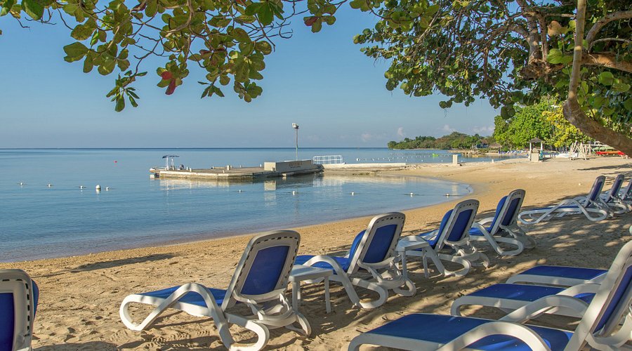 REGGAE COWBOYS @ HEDONISM